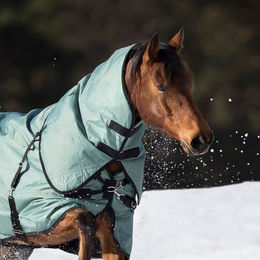 Produktbild von Busse Halsteil Flexible Pro 100g - silver pine (schwarz)