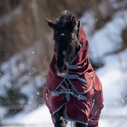 Produktbild von Busse Halsteil Flexible Pro - 100 g