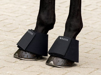 Produktbild von Busse Hufglocken Classic II