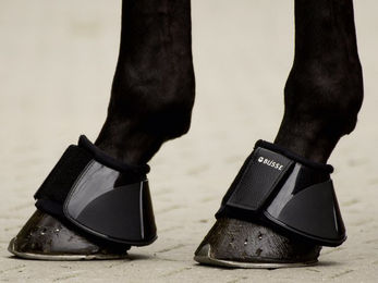 Busse Hufglocken PRO – Bild 1 von 3