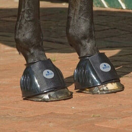 Busse Hufglocken Sturdy – Bild 1 von 7