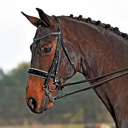 Produktbild von BUSSE Kandare "LUXURY" schwarz/weiß - WB