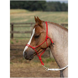 Busse Knotenhalfter SMOOTH II – Bild 1 von 2