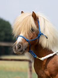 Produktbild von Busse Knotenhalfter SMOOTH II