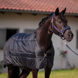 Produktbild von Busse Liner Noorvik Pro 100g schwarz - 100 g