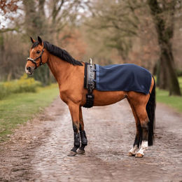 Produktbild von Busse Longierdecke 3D Air ST