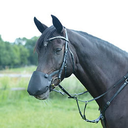 Busse Nüsternschutz Fly Professional Anatomic – Bild 1 von 2