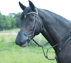 Busse Nüsternschutz Fly Professional Anatomic – Bild 1 von 2