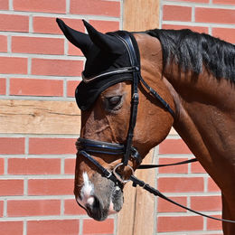 Produktbild von Busse Ohrenhaube Fly-Air Mesh