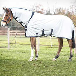 Busse Outdoor-Fliegendecke COMFORT PRO – Bild 1 von 7