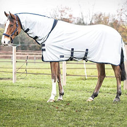 Produktbild von Busse Outdoor-Fliegendecke COMFORT PRO