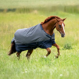 Produktbild von Busse Outdoordecke Active Pro 50g