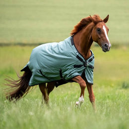 Busse Outdoordecke Flexible Pro 50g Silver Pine Schwarz – Bild 1 von 9