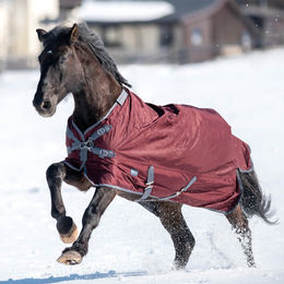 Produktbild von Busse Outdoordecke Flexible Pro