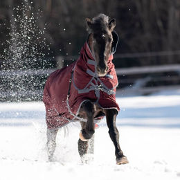 Produktbild von Busse Outdoordecke Flexible Pro