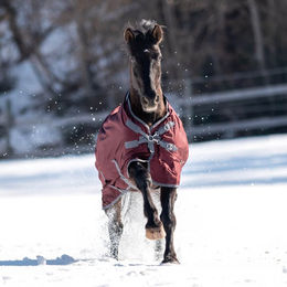 Produktbild von Busse Outdoordecke Flexible Pro
