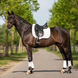 Produktbild von Busse Schabracke 3D Air Effect