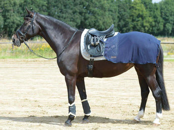 Busse Trainingsdecke FLY – Bild 1 von 6