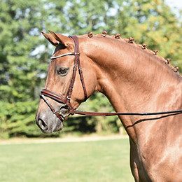 Produktbild von BUSSE Trense "MATERA" hazel - WB