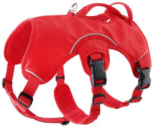 Produktbild von BYSURE Hunde-Geschirr aus Polyester