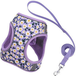 Produktbild von BYSURE Hunde-Geschirr aus Polyester mit Leine für kleine und mittelgroße Hunde