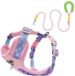 Produktbild von BYSURE Hunde-Geschirr aus Polyester mit Leine, verstellbar - 1 Stk.