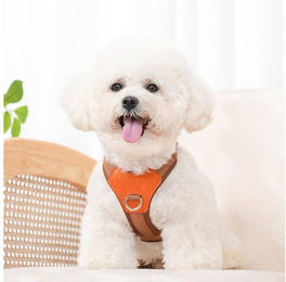 BYSURE Hunde-Geschirr für kleine Hunde – Bild 1 von 4