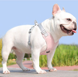 Produktbild von BYSURE Hunde-Geschirr, Hundegeschirr und Leine-Set