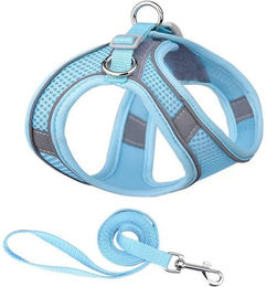 Produktbild von BYSURE Hunde-Geschirr, Komfort-Hundegeschirr- und Leinen-Set