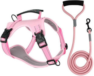 Produktbild von BYSURE Hunde-Geschirr mit Leine