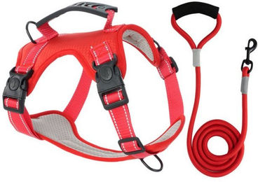 Produktbild von BYSURE Hunde-Geschirr mit Leine