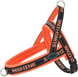 Produktbild von BYSURE Hunde-Geschirr Nylon H-Geschirr XS–L - 1 Stk.