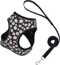 Produktbild von BYSURE Hunde-Geschirr, Polyester, Hundegeschirr mit Leine für kleine und mittelgroße Hunde