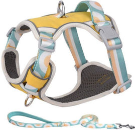 Produktbild von BYSURE Hunde-Geschirr Reflektierend mit Leine
