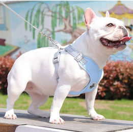 Produktbild von BYSURE Hunde-Geschirr und Leine-Set