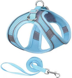 Produktbild von BYSURE Hunde-Geschirr und Leinen-Set