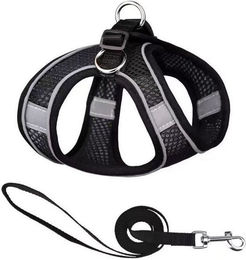 Produktbild von BYSURE Hunde-Geschirr und Leinen-Set