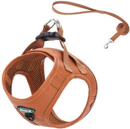 Produktbild von BYSURE Hunde-Geschirr wasserdicht - 1 Stk.