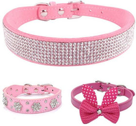 Produktbild von BYSURE Hunde-Halsband 3-teiliges Set