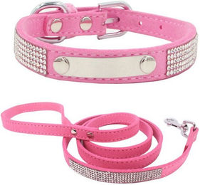 Produktbild von BYSURE Hunde-Halsband mit Leine
