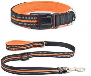 Produktbild von BYSURE Hunde-Halsband und Leine aus Mesh