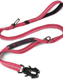 Produktbild von BYSURE Hundeleine Explosionsgeschützt