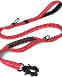 Produktbild von BYSURE Hundeleine Explosionsgeschützt