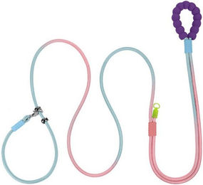 Produktbild von BYSURE Hundeleine Trainingsleine