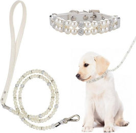 Produktbild von BYSURE Hundeleine und Halsband Set