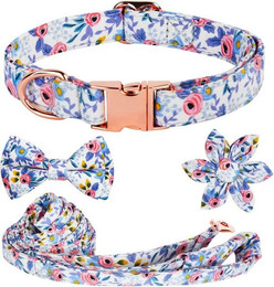 Produktbild von BYSURE Hundeleine und Hundehalsband mit Fliege Set