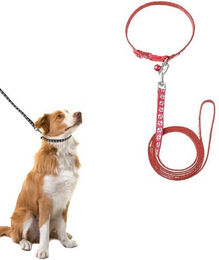 Produktbild von BYSURE Hundeleine und Welpenhalsband Set