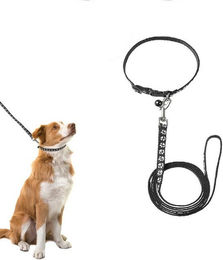 Produktbild von BYSURE Hundeleine und Welpenhalsband Set