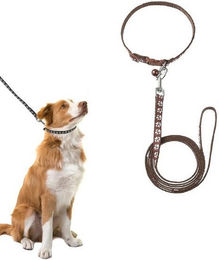 Produktbild von BYSURE Hundeleine und Welpenhalsband Set