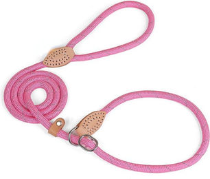 Produktbild von BYSURE reflektierende Hundeleine - 1 Stk.